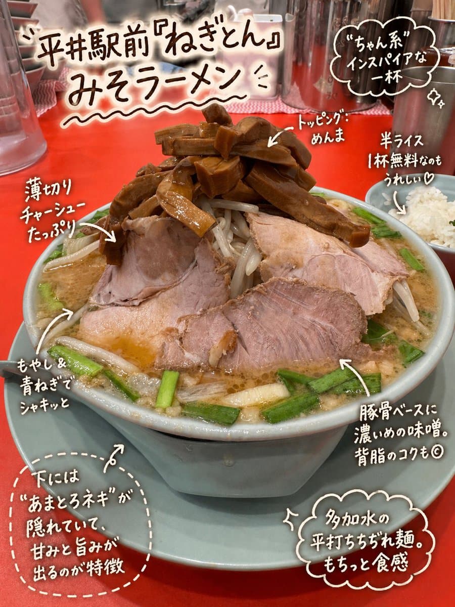 Infographic / Edu Visual - Annotated Japanese Miso Ramen Photo generated image example